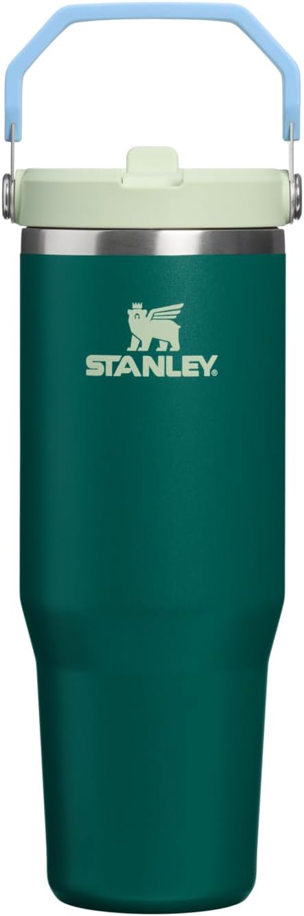 Stanley IceFlow Flip Straw Tumbler with Handle 20 oz | Twist On Lid and Flip Up Straw | Leak Resistant Water Bottle | Insulated Stainless Steel |BPA-Free | Ash