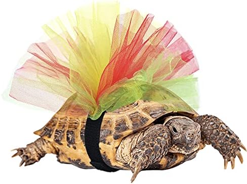 Tortoise Tutu Costume for Pet Tortoise Turtle Decoration Creative Gift