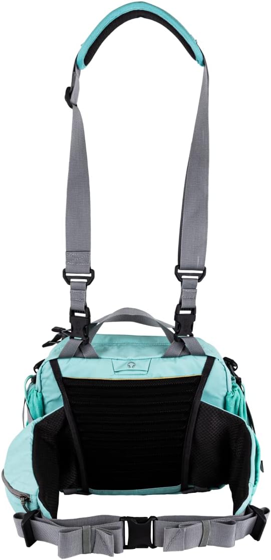 Mountainsmith Tour Lumbar Pack