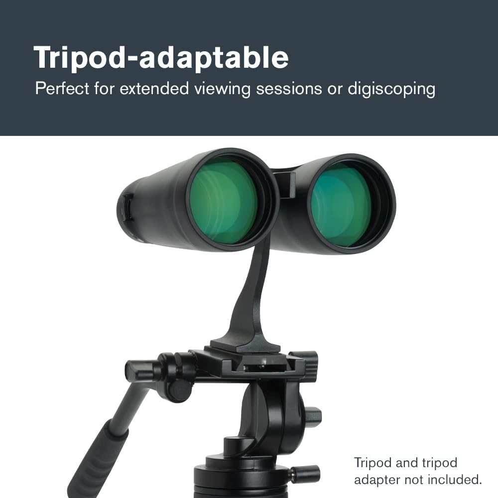 Celestron Outland X 10x50 Binoculars for Low-Light Wildlife Views