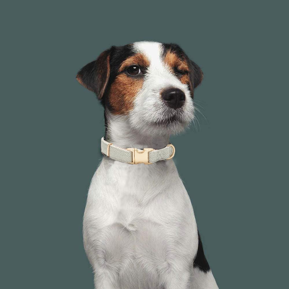Soft Dog Collar and Leash Set Adjustable Woven Tweed Dog Collars with Metal Buckle and Lead for Small Medium Large Dogs,Grey