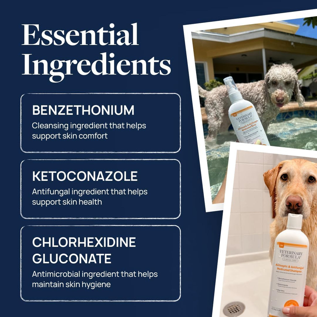 Veterinary Formula Clinical Care Antiseptic & Antifungal Shampoo + Spray