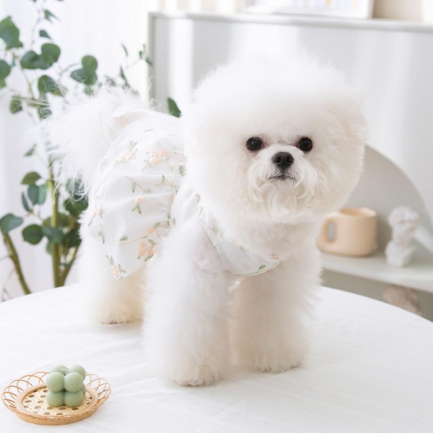 Dog Princess Dress Outfit Puppy Skirt Lace Shining Embroidered Bowknot Pet Clothes for Wedding Birthday Party Cat Apparel XX-Large