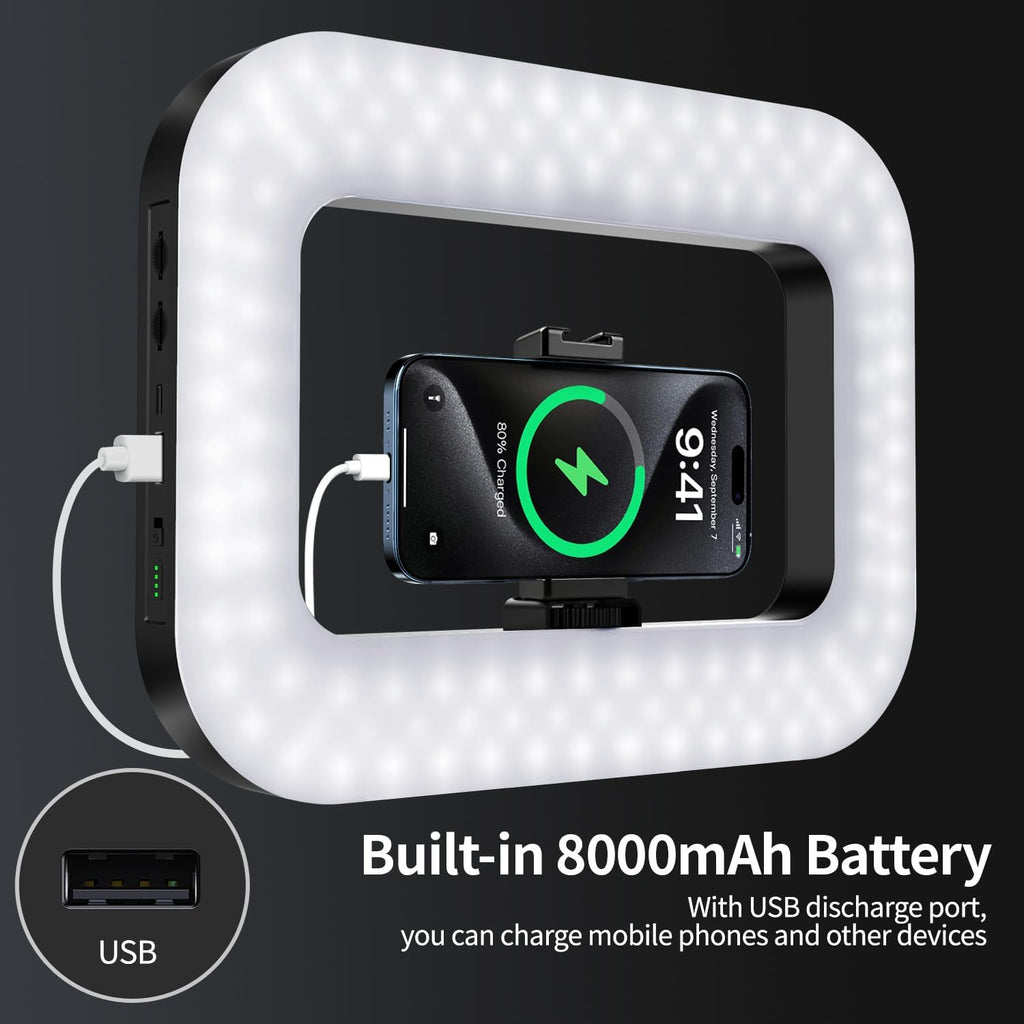 yAyusi Cell Phone Light for Video Recording, Handheld Phone Stabilizer with Light, 8000mAh LED Selfie Phones Ring Light with Phones Holder, Smartphone Video Rig for Camera, Action Camera, Vlog, TikTok