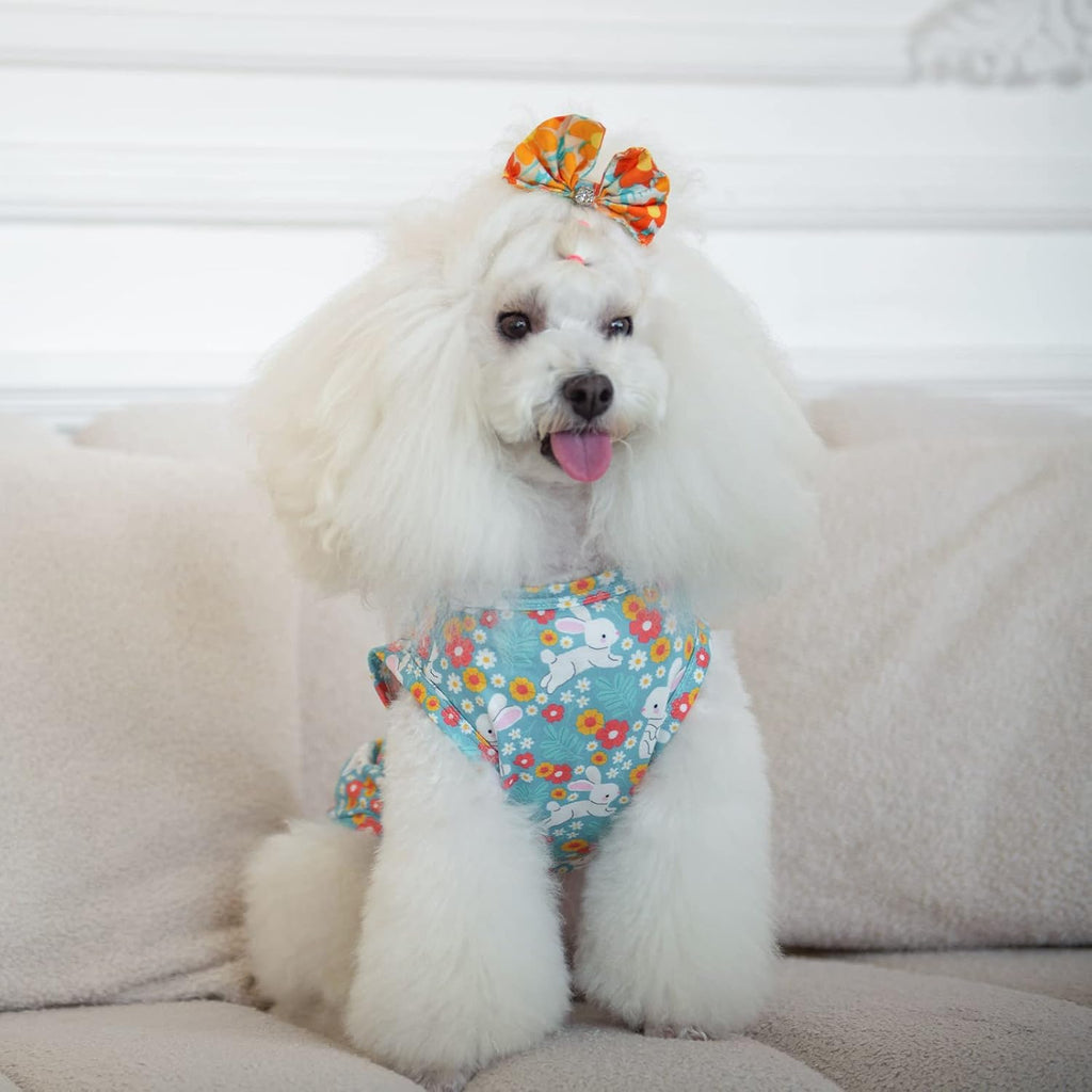 CuteBone Dog Shirts 2-Pack Soft Pet Clothes Breathable Summer Vest for Small Puppy and Stretchy Cat Apparel