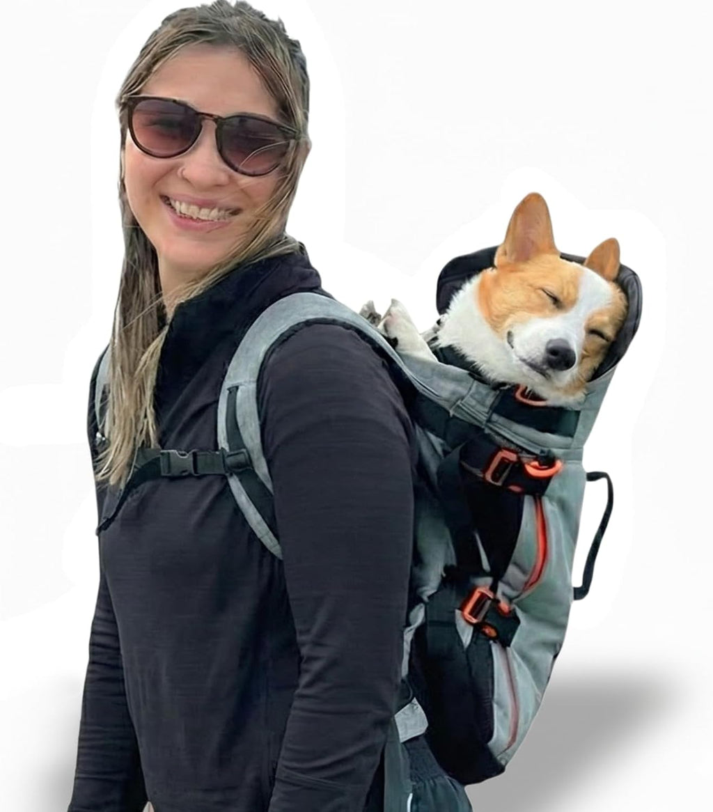 Little Chonk Maxine One Dog Backpack Carrier for Medium Dogs (Gray)