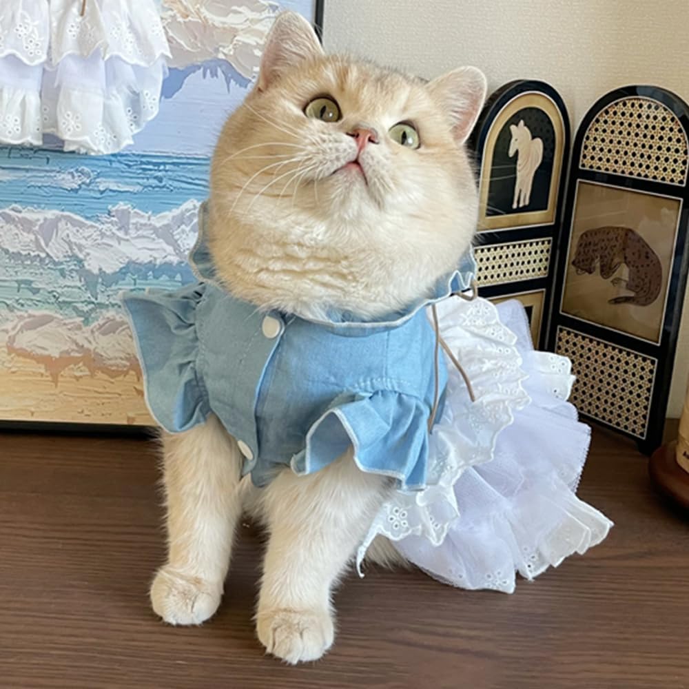 Girl Dog Denim Dress with Flared Sleeves Dog Jeans Jacket Blue White Puppy Clothes for Small Dogs Cat Apparel Cake Skirt Pet Outfit (Blue, Medium)