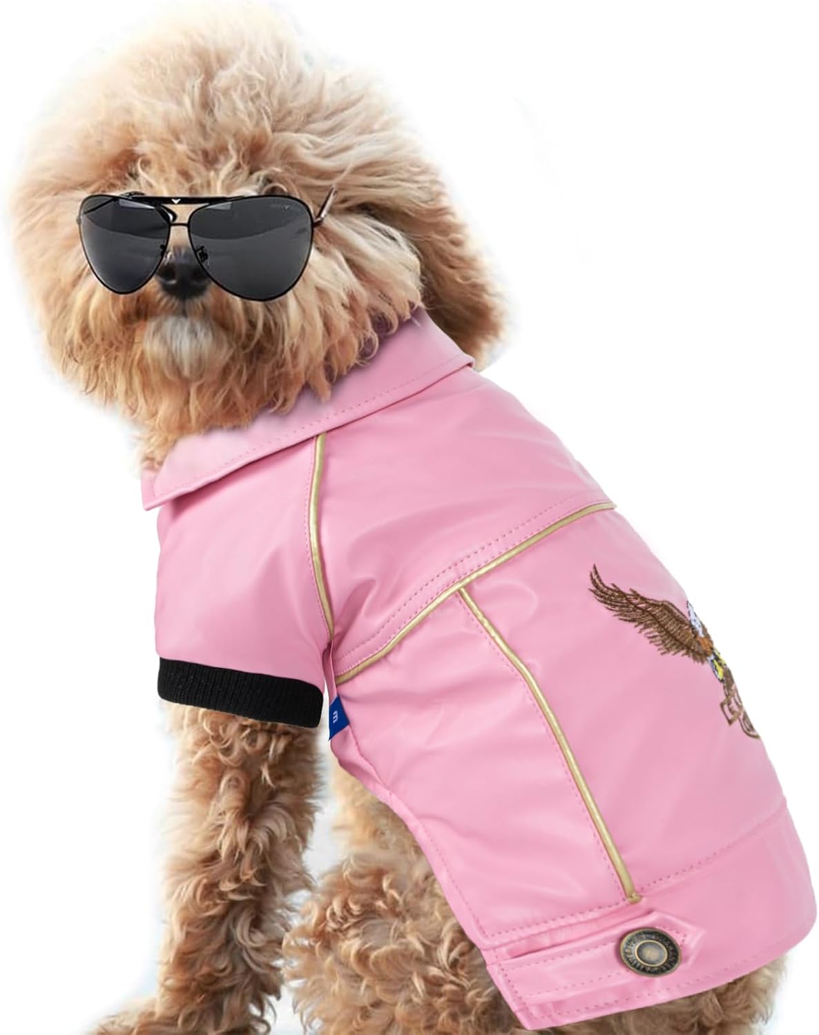 Dog Winter Coat Pu Leather Motorcycle Jacket for Dog Pet Clothes Leather Jacket, Waterproof(L)