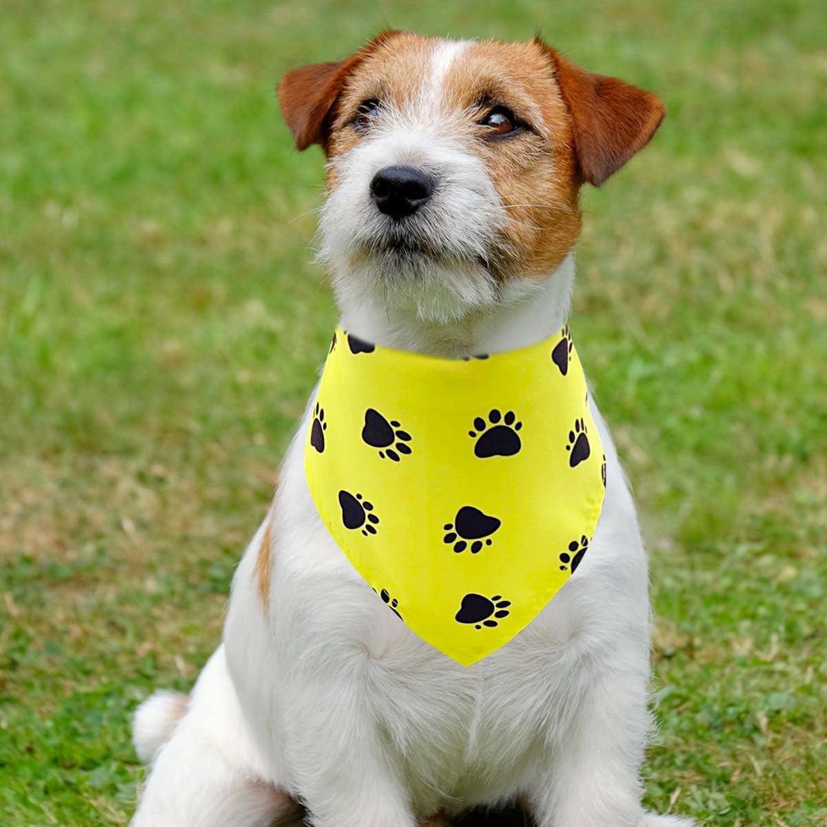 PET SHOW 50 Pack Paw Print Dog Bandanas Bulk for Medium Dogs