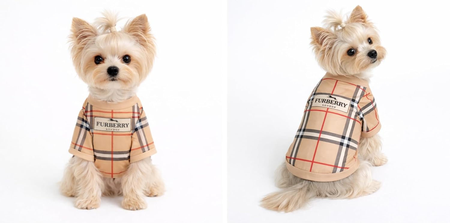 Luxury Designer Dog T Shirt – Trendy Puppy Clothes for Small Dogs, Fashion Pet Tee for French Bulldogs & Chihuahuas, Everything Chic Dog Apparel (FurberryTee, Small)