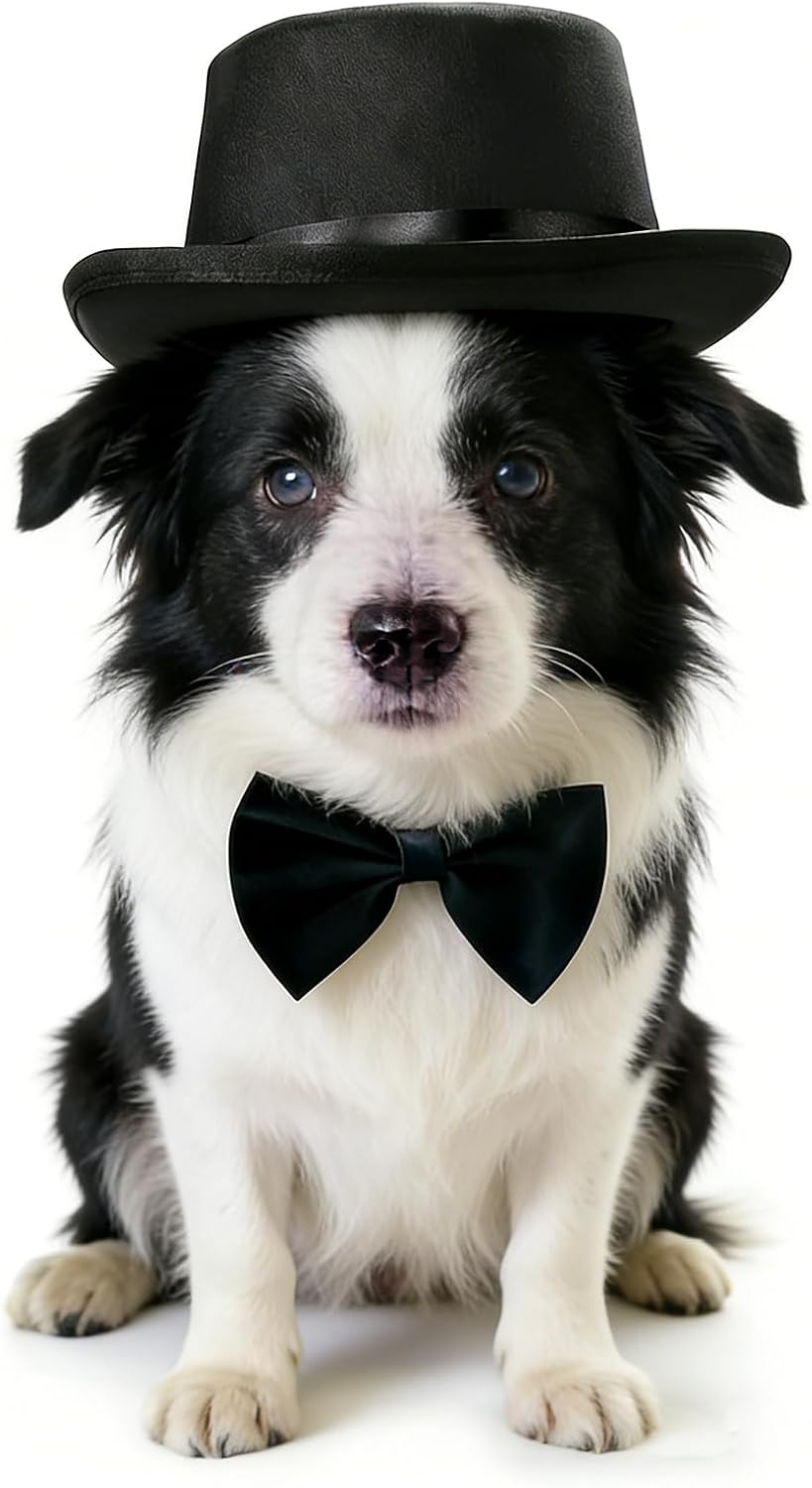 Qiansail 2Pcs Pet Formal Accessories Set Wedding Dog Top Hat with Bowtie Cat Tuxedo Necktie Costumes for Halloween Birthday Party, Polyester, Black