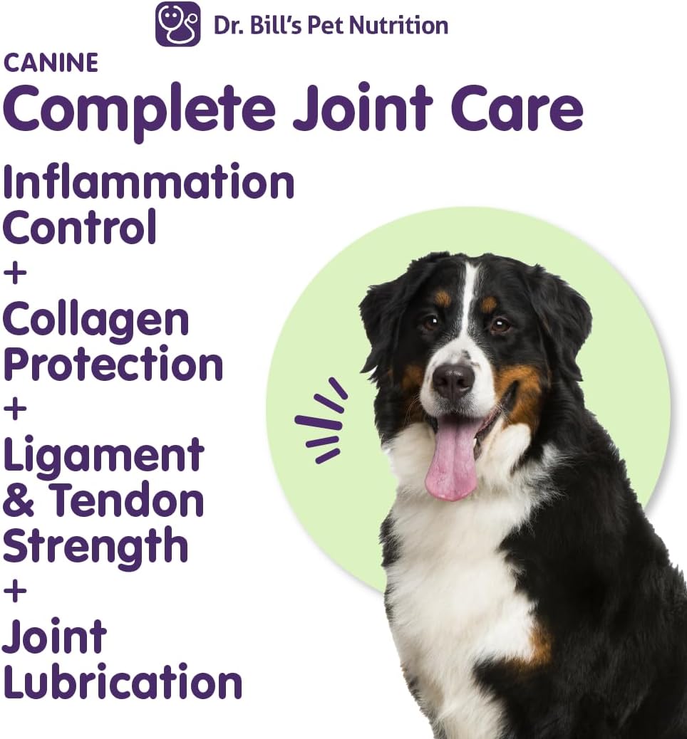 Dr. Bill’s Canine Complete Joint Care – Advanced Hip & Joint Supplement for Dogs – Supports Mobility, Cartilage & Muscle with HMB, Multi-Collagen, Green Lipped Mussel & Turmeric