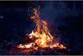 shensu Burning Firewoods Photography Backdrops 7x5ft Vinyl Outdoor Night Campfire Flaming Timber Travel Barbeques Party Events Photography Background Kids Adults Portrait Photo Studio Props