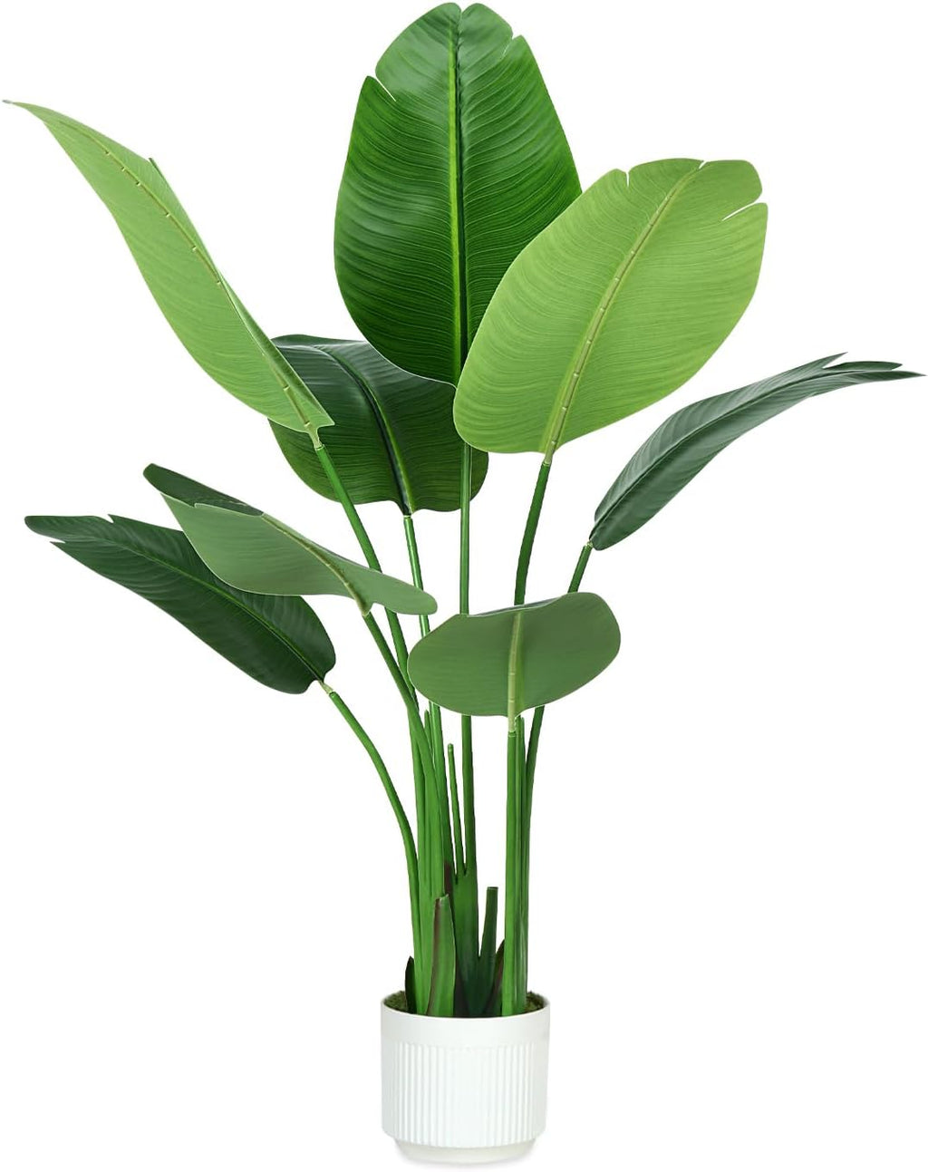 Bird of Paradise Plant Artificial 6ft,Faux Plants Indoor Tall with 12 Trunks - The Perfect Indoor Silk Floor Plant for Home Decor in Living Room, Office, and Bedroom (6FT Bird of Paradise)