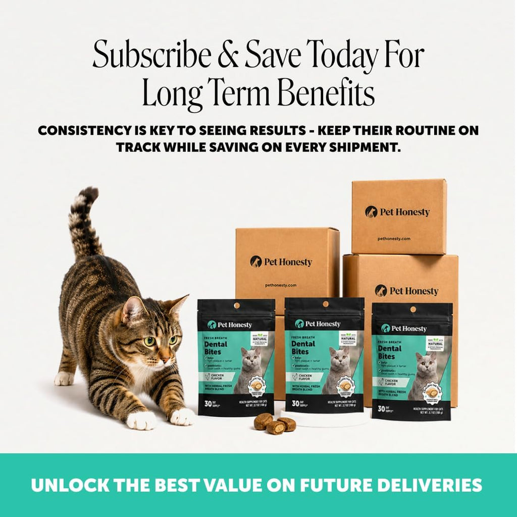 Pet Honesty Vet Approved Cat Teeth Cleaning Bites for Fresh Breath, 30 Day