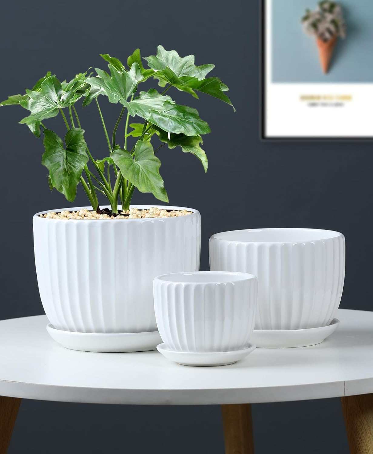 White Plant Pots,Ceramic Flower Pot Set of 3 with Drainage Holes & Saucers