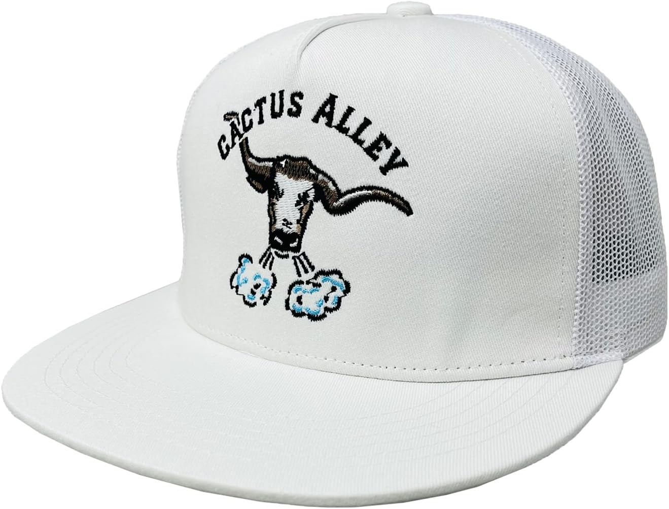 CACTUS ALLEY HAT CO. Western Lifestyle Texas Ranch Rodeo Inspired Adjustable Snapback Patch Hat