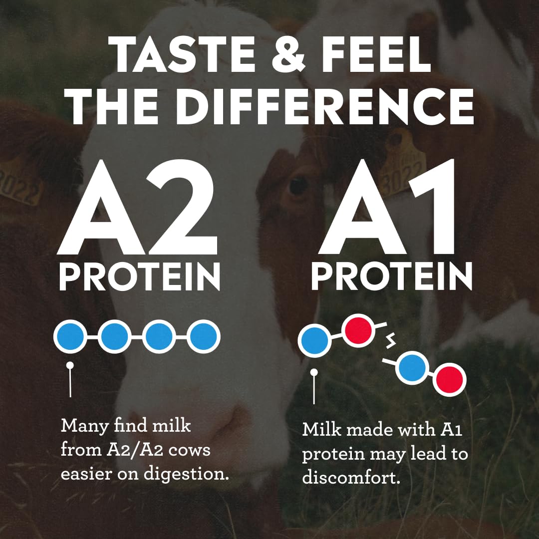 Pioneer Pastures High Protein A2 Milkshakes, Vanilla, 11oz, 12 Pack