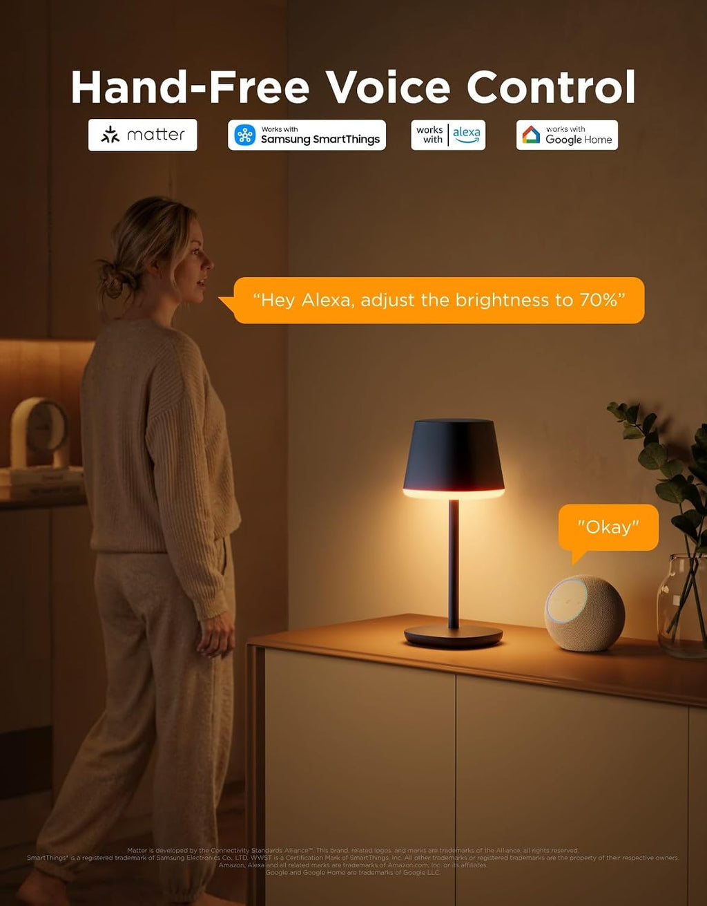 Govee Smart Cordless Table Lamp Classic (No Adapter), RGBIC Desk Lamp