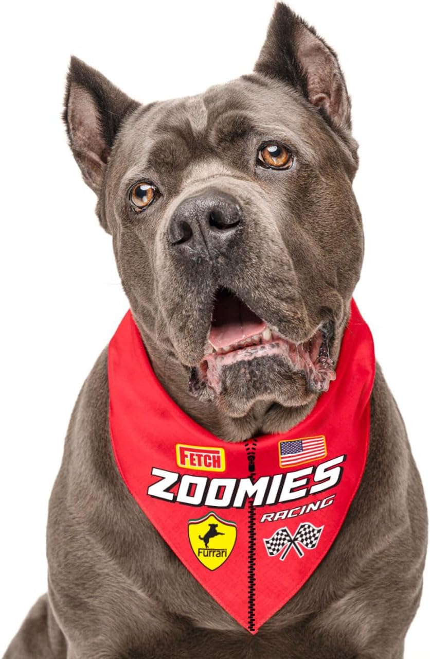 Zoomies Racecar Driver Costume Dog Bandana | 100% Cotton Adjustable Triangle | Made in USA | Pit Crew | Checkered Flag | Fast |Red, One Size (1401)