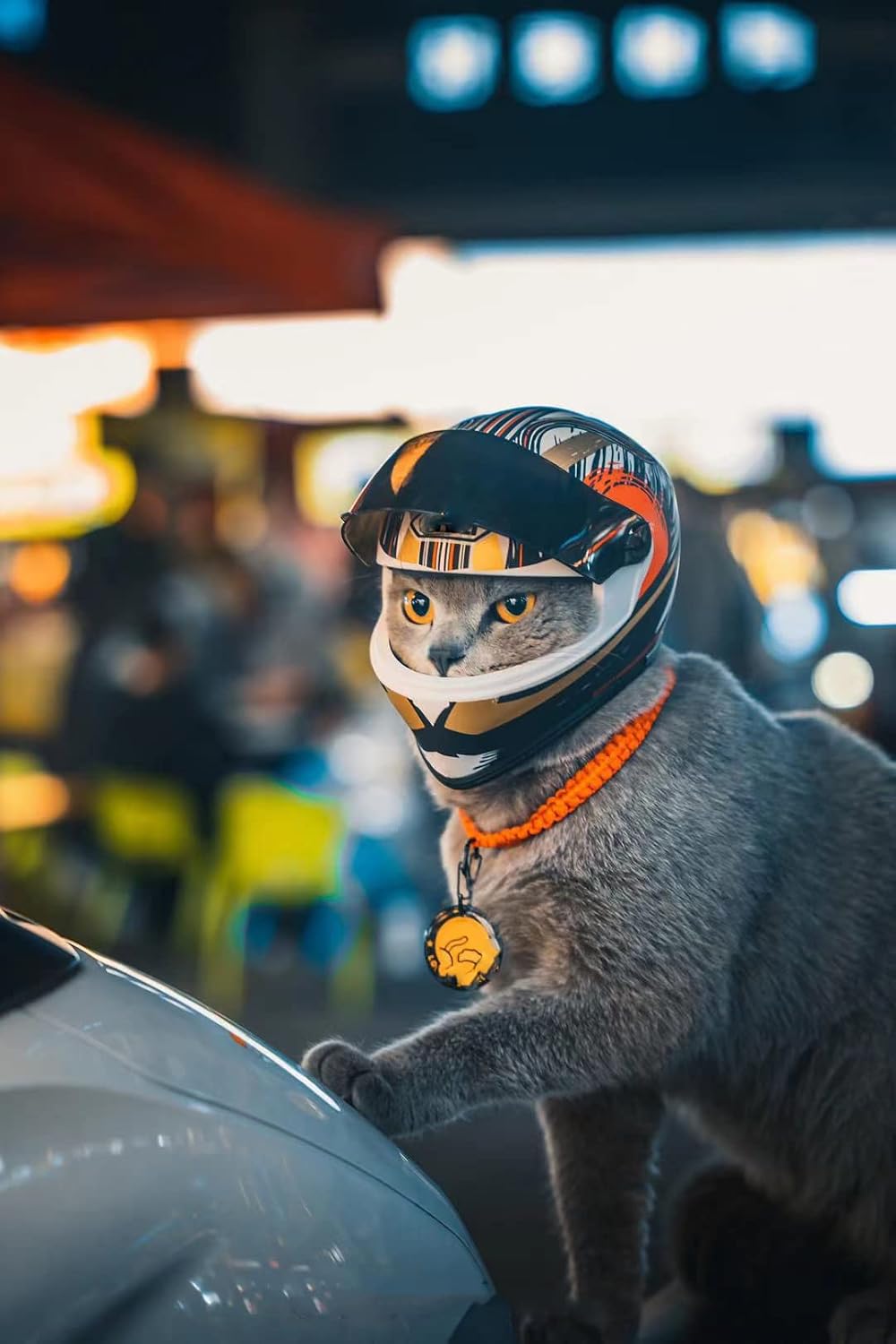 Pet Motorcycle Helmet for Cat Dog - Full Face Outdoor Bike Riding Helmet Hat (Multicolor)