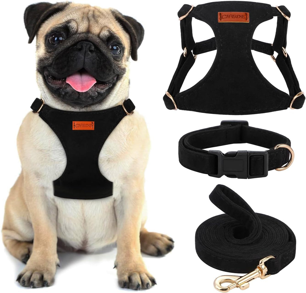 No Pull Dog Harness- Lightweight, Soft, Adjustable Small Harness Collar and Leash Set, Suitable for Cats Puppy Small and Medium-Sized Dog Outdoor Training and Running (Green, S)