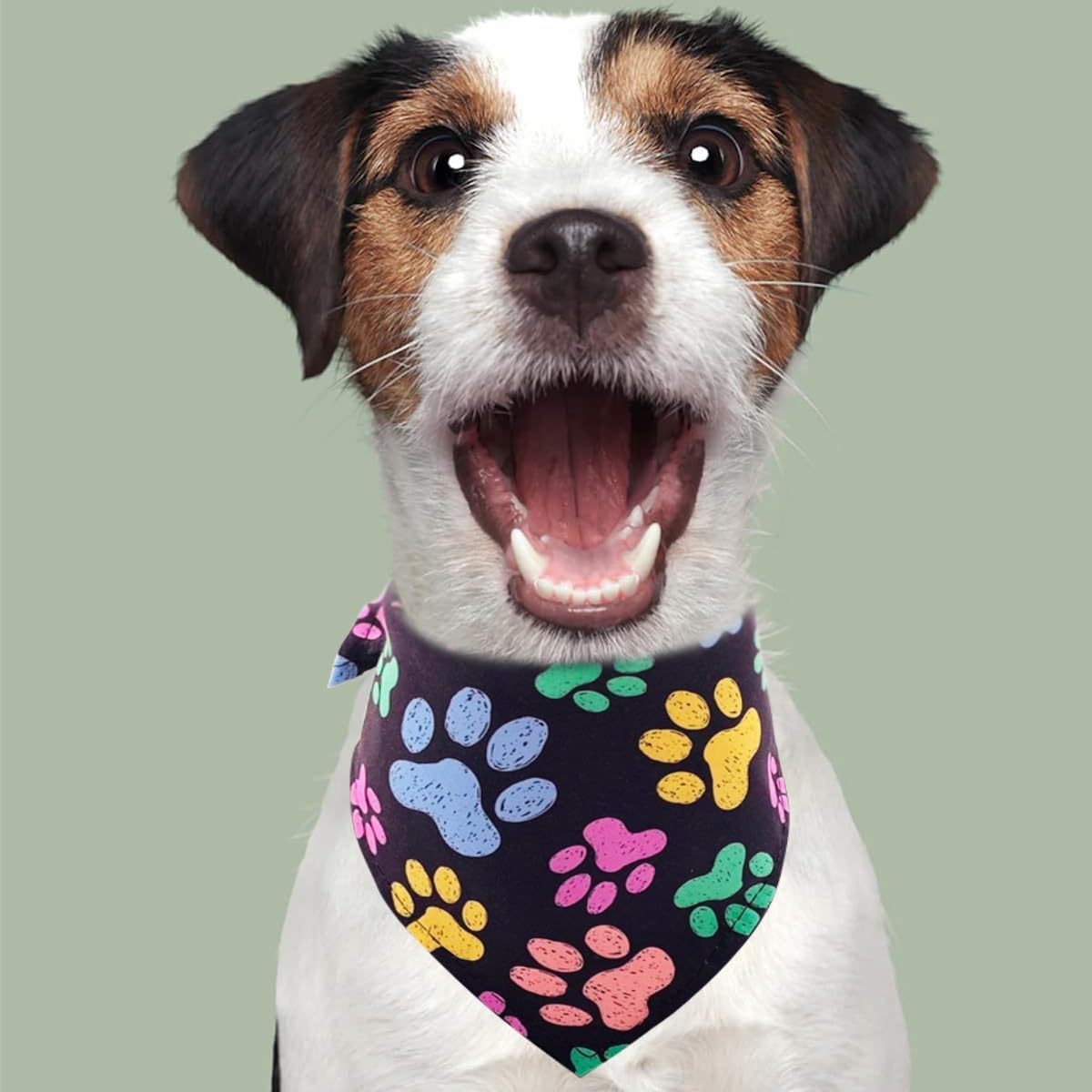 PET SHOW 50 Pack Paw Print Dog Bandanas Bulk for Medium Dogs