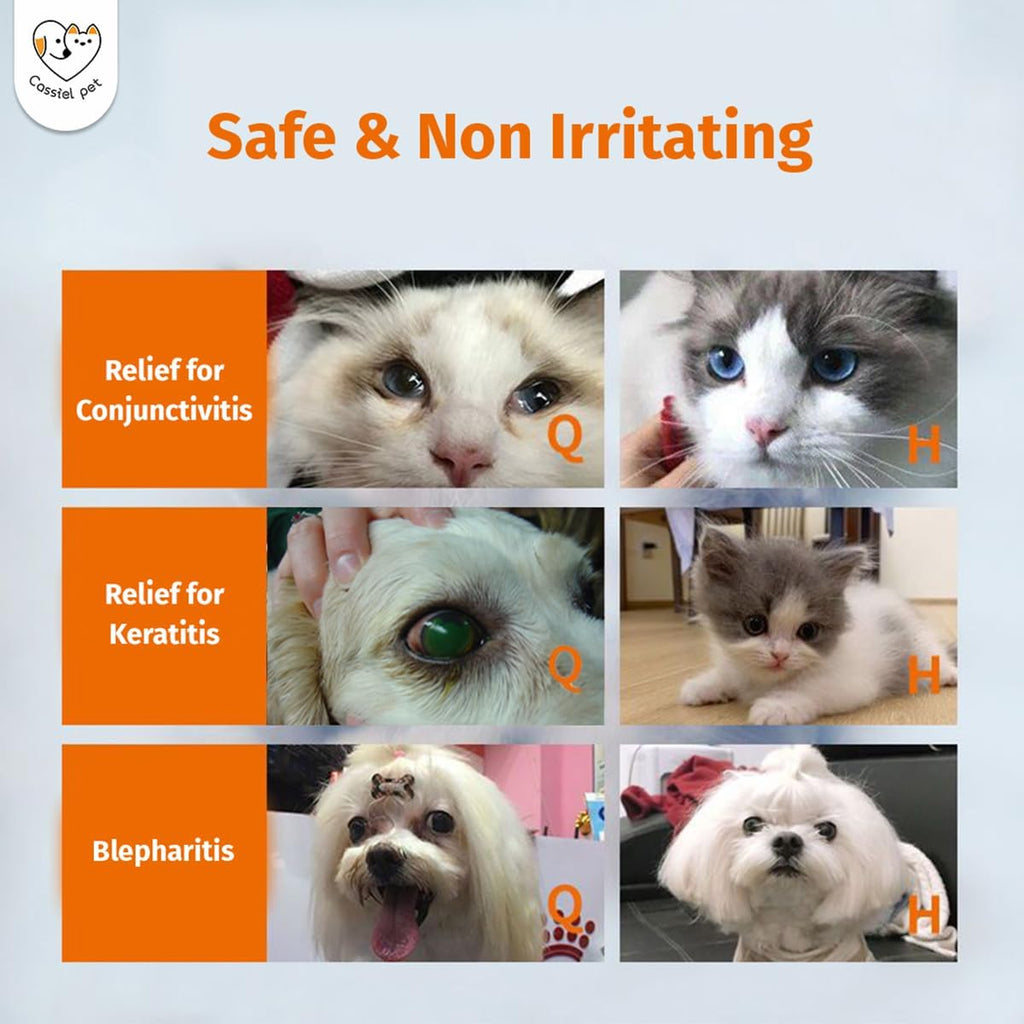 Eye Drops for Eye Infection Treatment, Soothe Infection Allergy, Relieve Dry Eyes & Red Eye，Eye Cleaner and Tear Stain Remover for Dogs and Cats | 10 ml 0.33 FL OZ (1 Bottle)