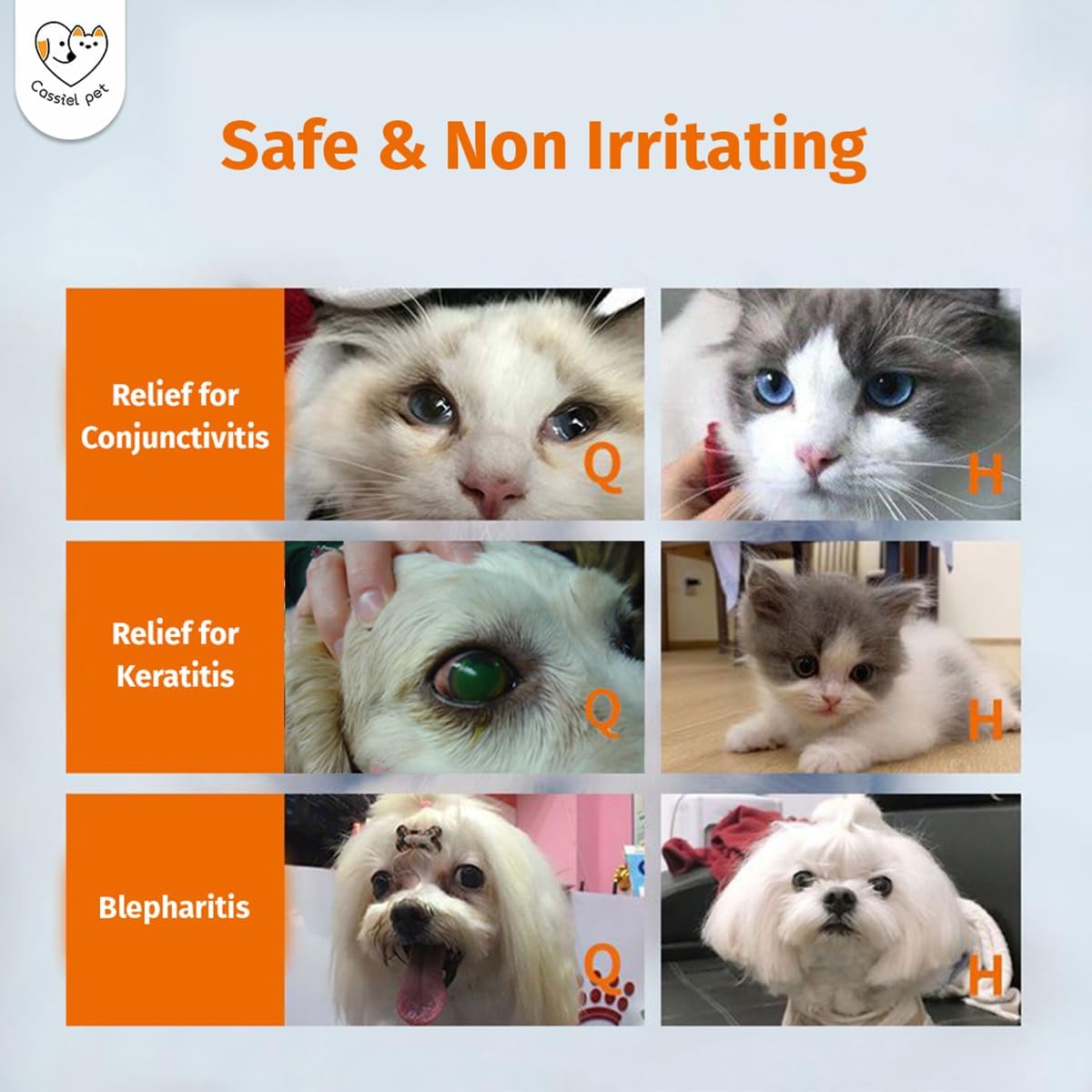 Eye Drops for Eye Infection Treatment, Soothe Infection Allergy, Relieve Dry Eyes & Red Eye，Eye Cleaner and Tear Stain Remover for Dogs and Cats | 10 ml 0.33 FL OZ (1 Bottle)