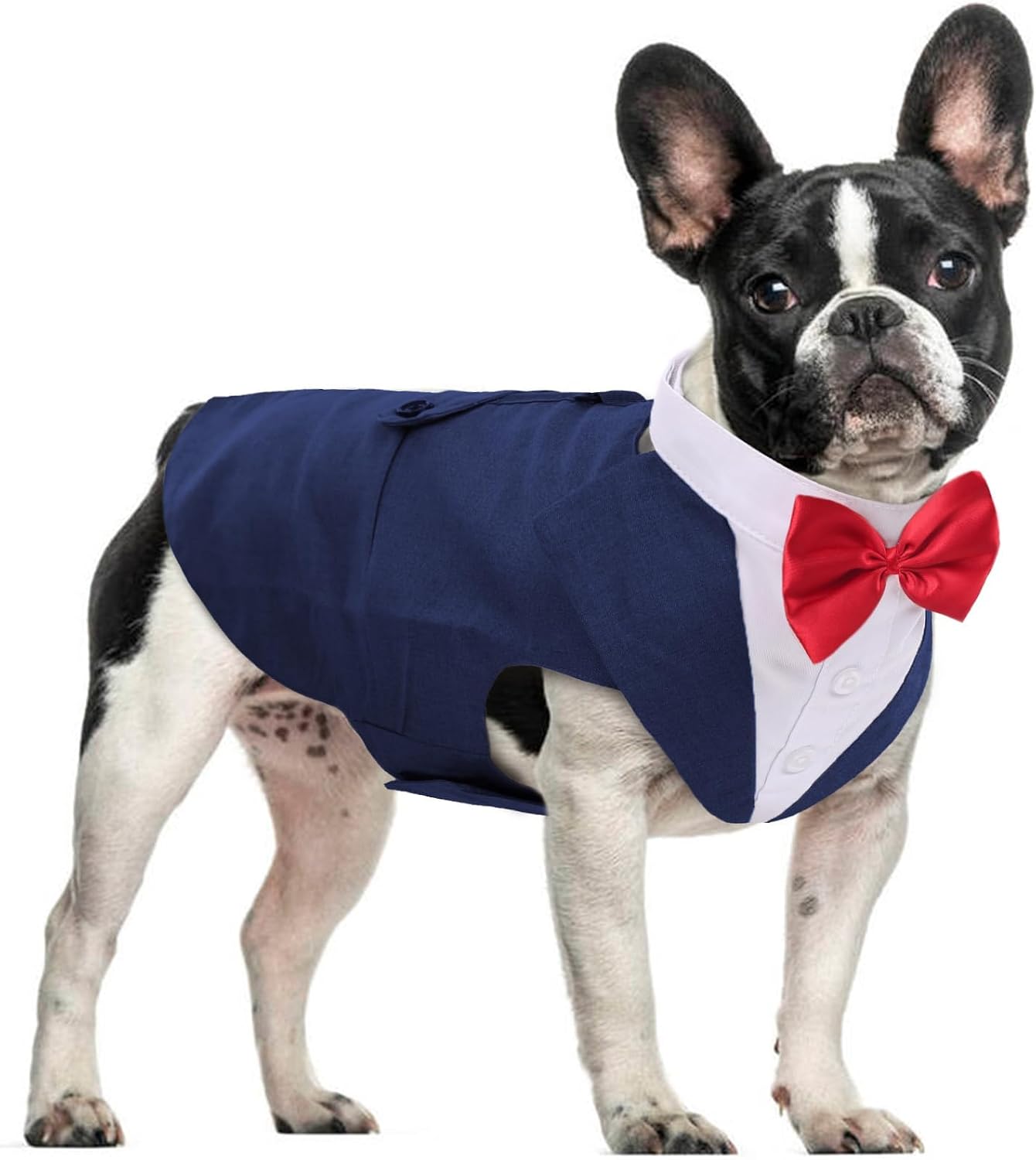 Dog Tuxedo for Large Dogs, Dog Suit and Bandana Set, Dog Costume Outfit