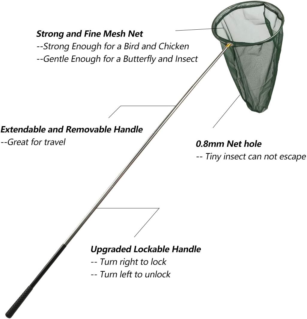Professional Insect and Butterfly Net with 14" Ring, 26" Net Depth, 59" Telescopic Handle Full Extends to 73" Stainless Lockable