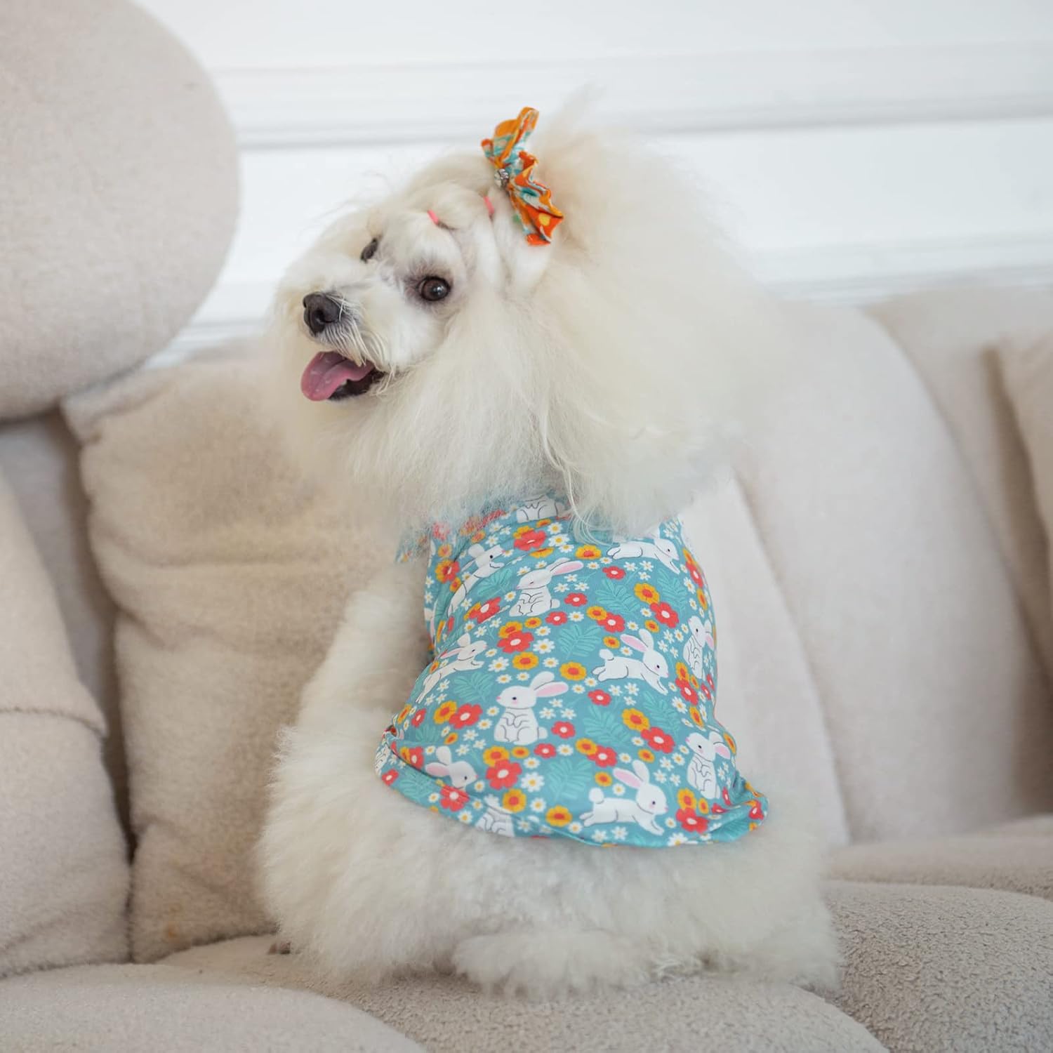 CuteBone Dog Shirts 2-Pack Soft Pet Clothes Breathable Summer Vest for Small Puppy and Stretchy Cat Apparel