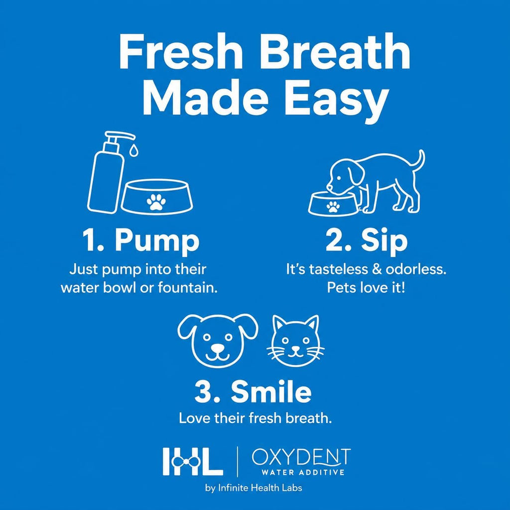 Oxydent Pet Dental Water Additive, Dogs & Cats, 16 oz
