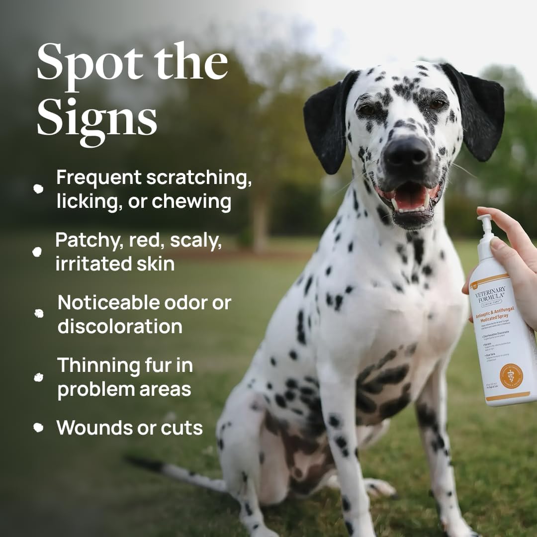 Veterinary Formula Clinical Care Antiseptic & Antifungal Shampoo + Spray