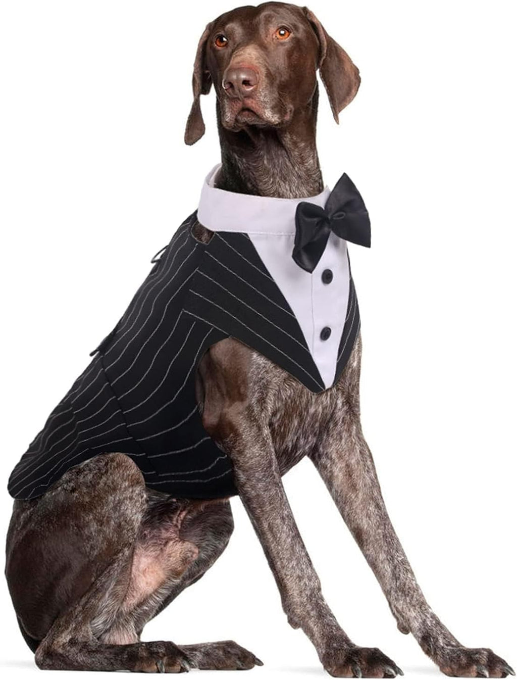 Dog Tuxedo for Large Dogs, Dog Suit and Bandana Set, Dog Costume Outfit