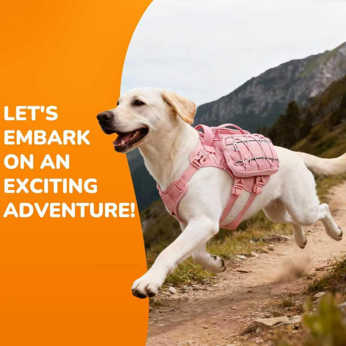 Large Dog Harness Backpack, No Pull Adjustable Dog Vest with Handle & Leash Ring, Lightweight Dog Backpack with Side Pockets for Walking, Training & Day Hikes, Pink, L