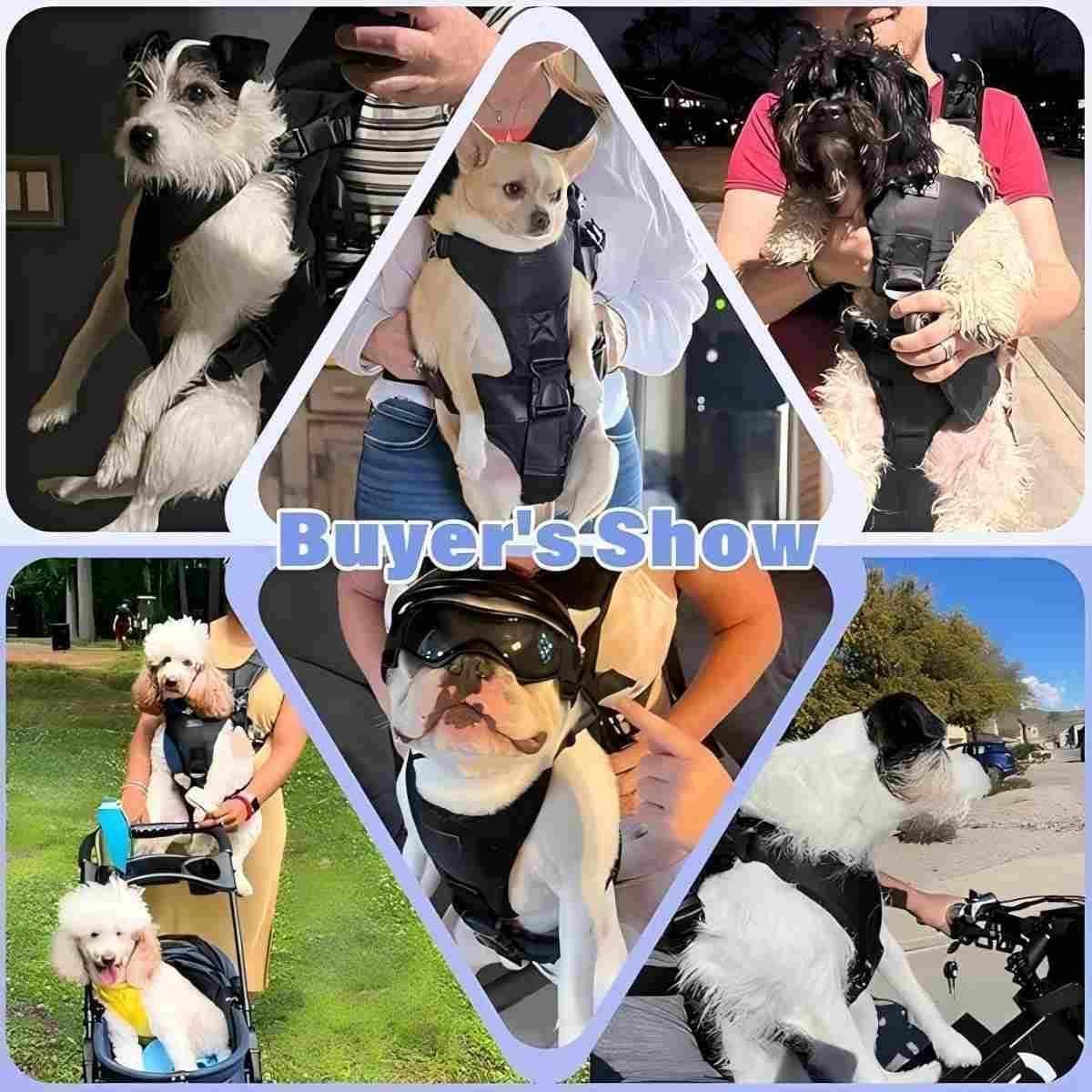 YUDODO Front Pet Carrier Backpack for Small Dog, Legs Out Dog Chest Carrier