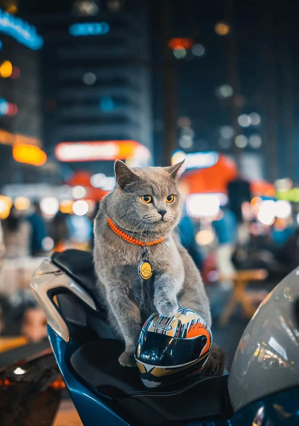 Pet Motorcycle Helmet for Cat Dog - Full Face Outdoor Bike Riding Helmet Hat (Multicolor)