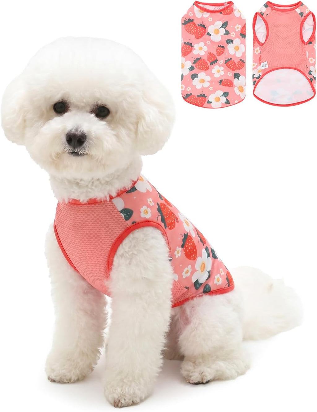 CuteBone Mesh Panel Dog Tank Top - Breathable Dual-Fabric Pet Vest Lightweight Summer Small Dog Shirts - Keep Your Pets Cool, Sun-Protected Outdoors