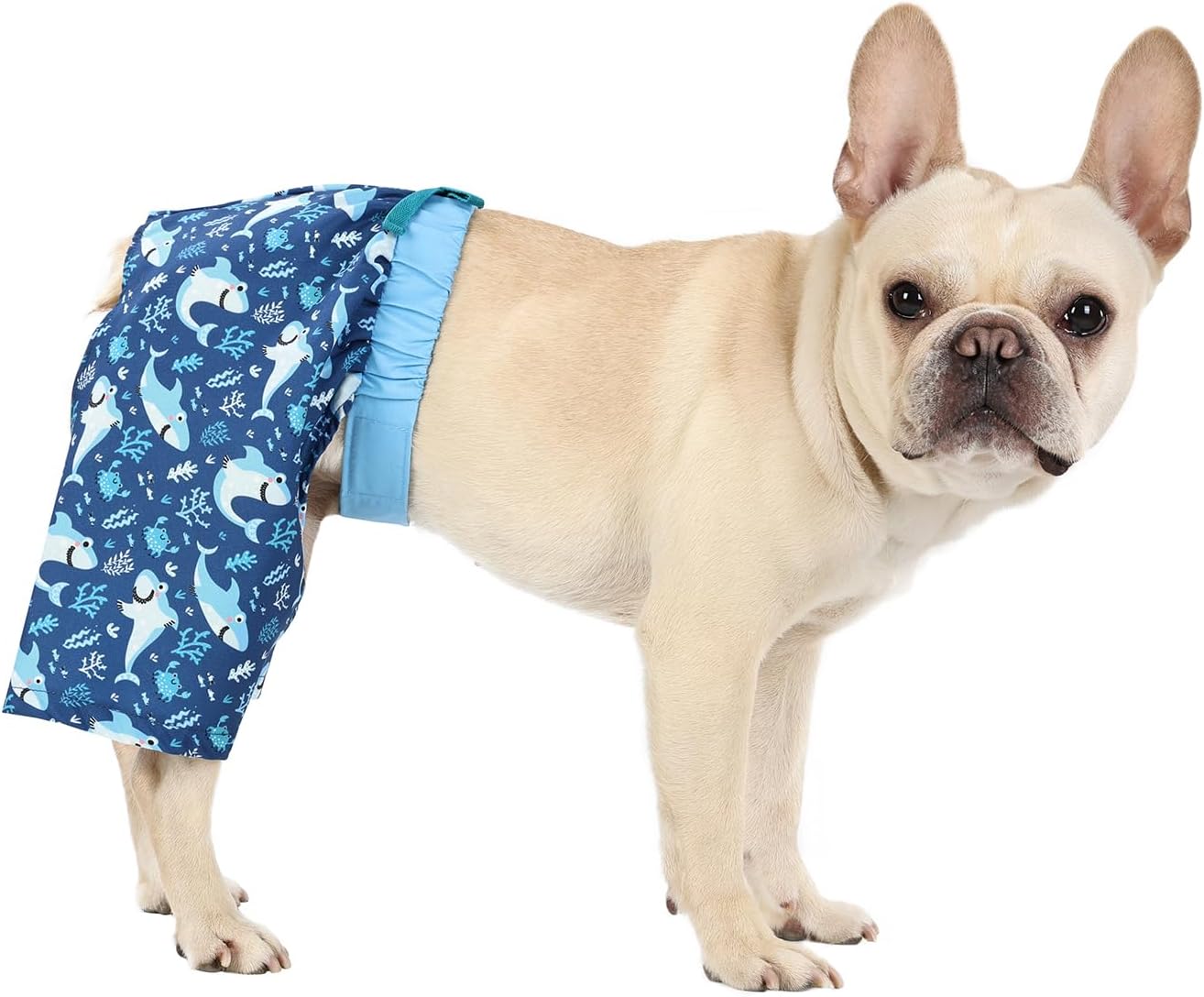 HDE Dog Swim Trunks Hawaiian Shorts Beach Pool Puppy Swimsuit Bl Sharks XS