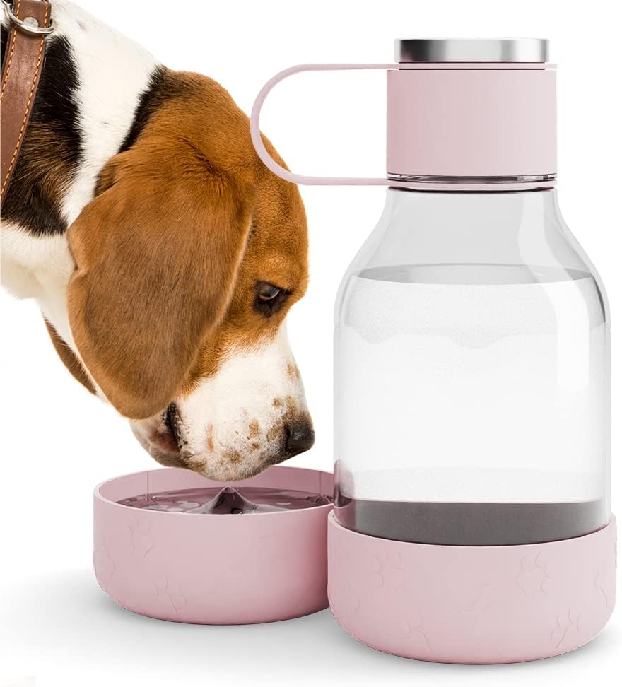 Asobu Tritan Water Bottle with Dog Bowl Attached 50 Ounces (Burgandy)