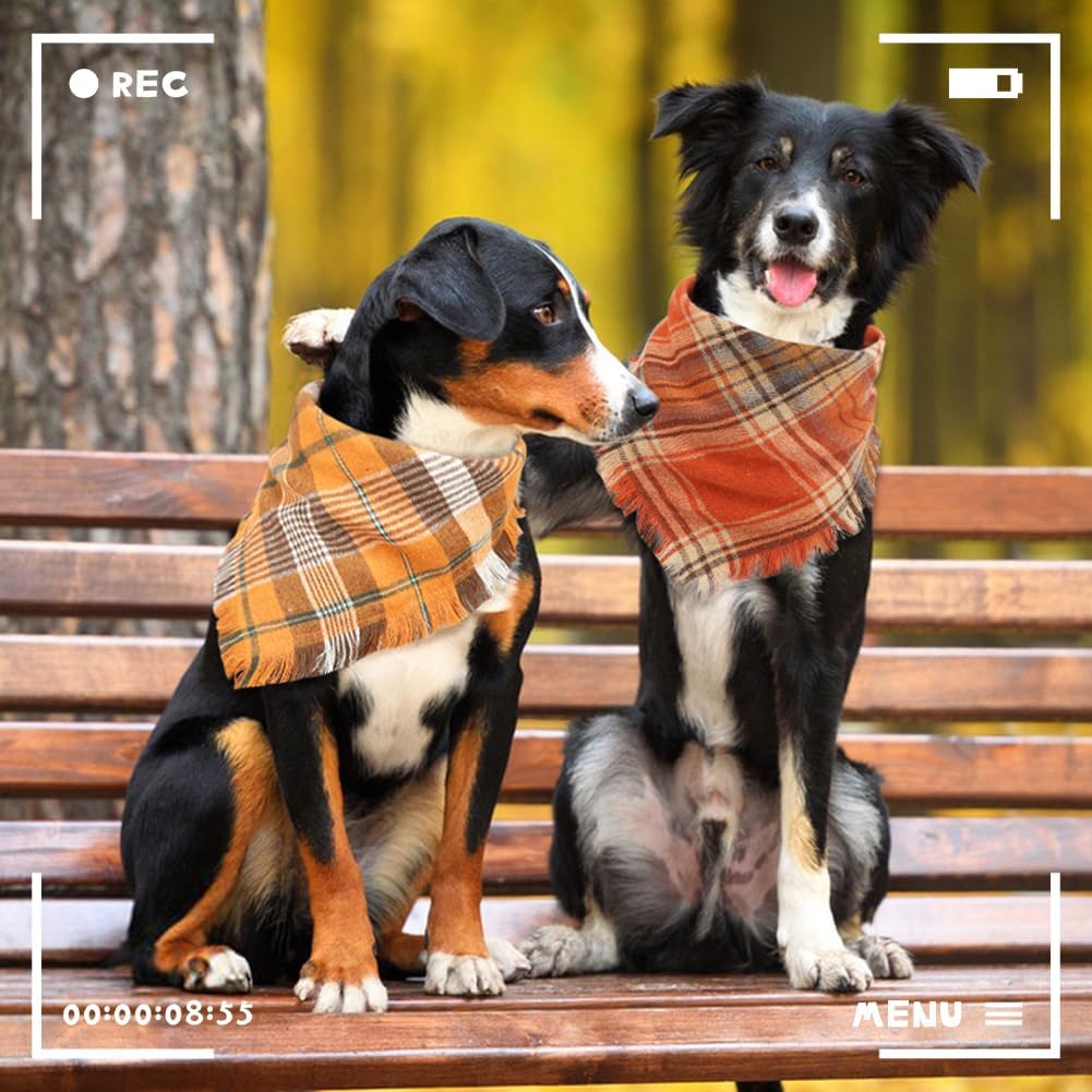 Vivifying Fall Dog Bandanas, 2 Pack Halloween Classic Plaid Dog Scarf with Tassels Edges, Funny Pet Apparel & Accessories Costume for Thanksgiving, Photo Prop, and Party Decor (X-Large, Yellow&Orange)