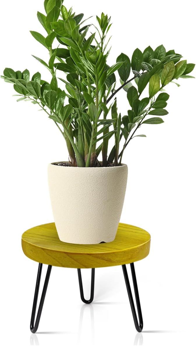 OBTAIN Plant Stand Indoor Outdoor, Wooden plant Stool, Mid Century Plant Stand for Indoor Plants, Wood Modern Plant Holder Rattan Flower, Low Short Boho Rustic Planter Stand Fit 5-15 Inch Pot(M)