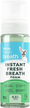 TropiClean Fresh Breath Dental Foam Spray for Dogs &amp; Cats | Quick Breath Freshener and Teeth Cleaning Solution | Made in The USA | 4.5oz.