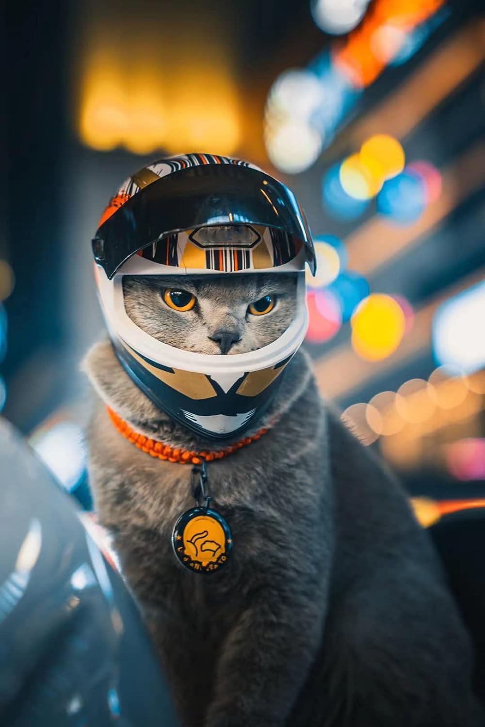 Pet Motorcycle Helmet for Cat Dog - Full Face Outdoor Bike Riding Helmet Hat (Multicolor)