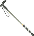 LEKI Wanderfreund Speedlock Trekking Pole