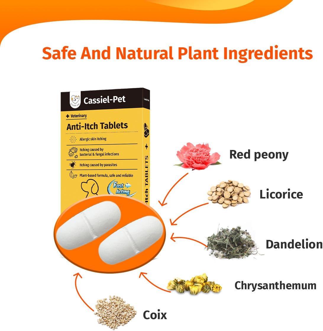 Dog Allergy Relief Chews - Dog Itch Relief - Relieves Rash, Heals Wounds, Soothes Inflammation, Treats Bites, Scratches, Cat Wound Care - 10 Chews