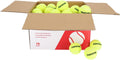 Gamma Sports Pressureless Tennis Balls Box - Ideal for Practice, Teaching, and Training with High-Visbility Felt - Indoor and Outdoor Court Play - 48 and 75 Pack Sizes
