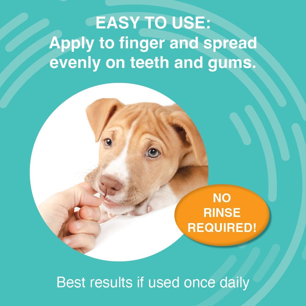 Nootie Medicated Dental Gel for Dogs with Chlorhexidine
