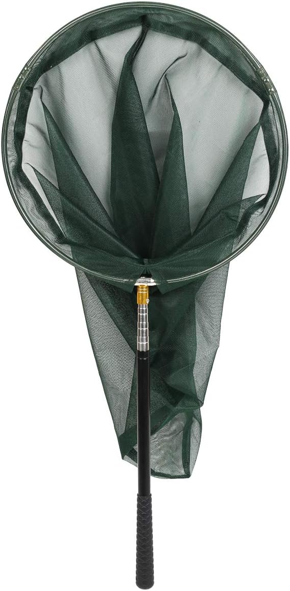 Professional Insect and Butterfly Net with 14" Ring, 26" Net Depth, 59" Telescopic Handle Full Extends to 73" Stainless Lockable